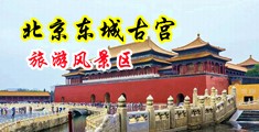 逼逼好痒大鸡巴快来插我啊中国北京-东城古宫旅游风景区
